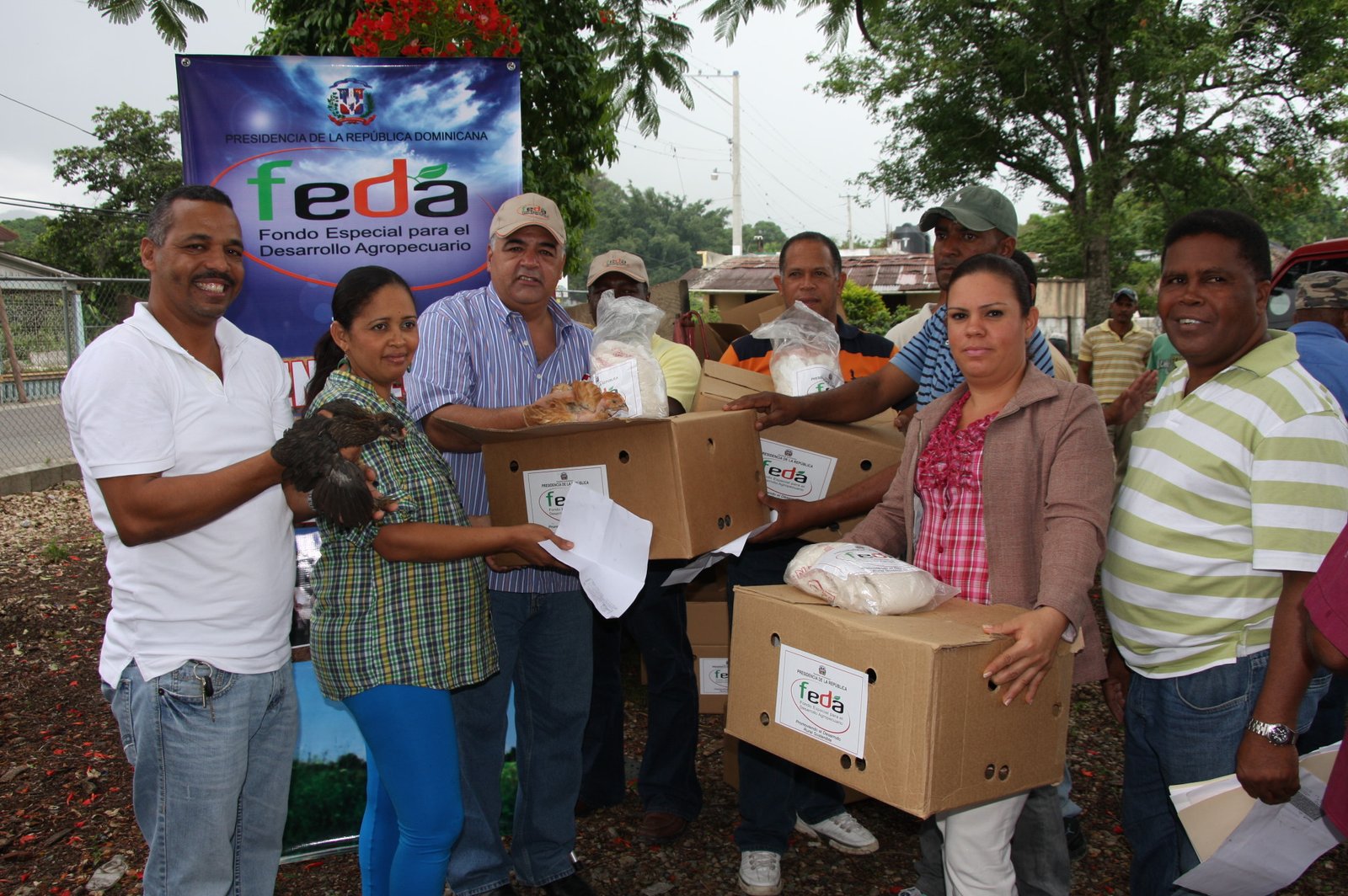 FEDA distribuye miles de gallinas ponedoras